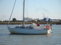 DSC06852